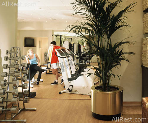 Villa Magna, a Park Hyatt Hotel Madrid 21